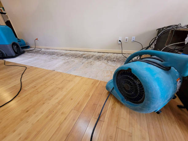 Reliable Basement Flood Cleanup contractor in Winslow, NJ by Hirex Water Damage