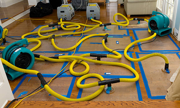 Professional Basement Flood Cleanup technician working in Winslow, NJ